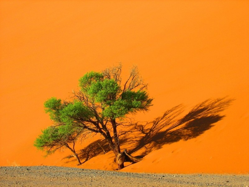 Песчаные дюны Соссусвлей