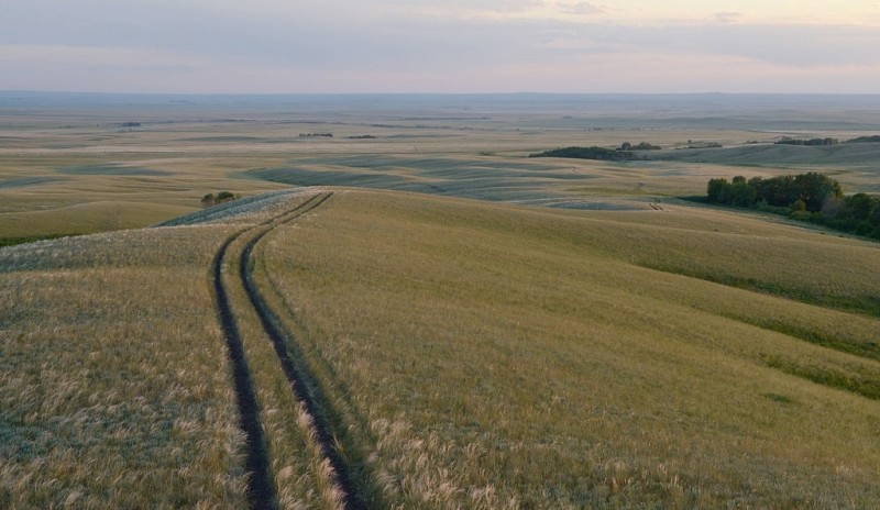 В степях Южного Урала, Россия, Оренбургская область