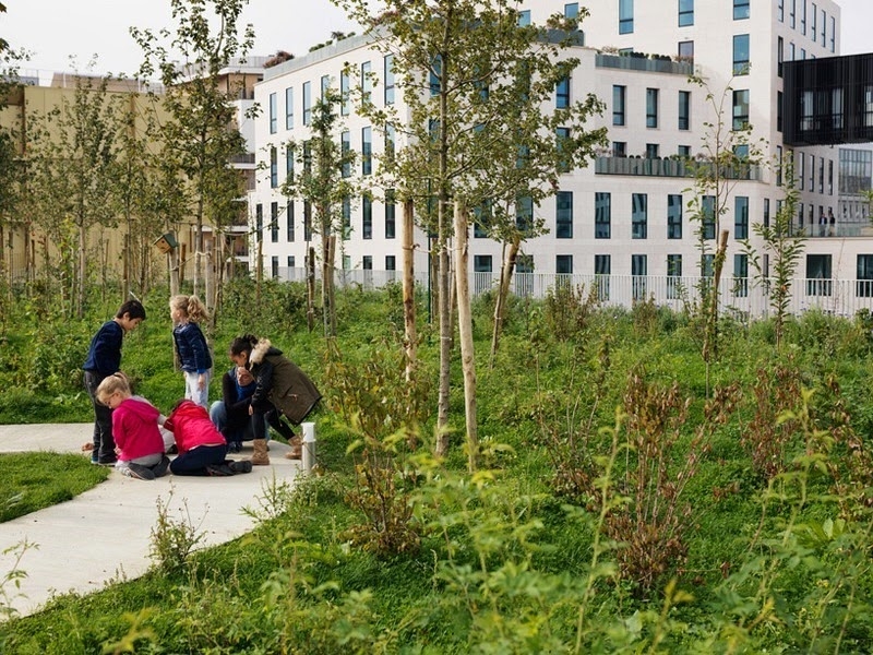 Зеленая школа в пригороде Парижа