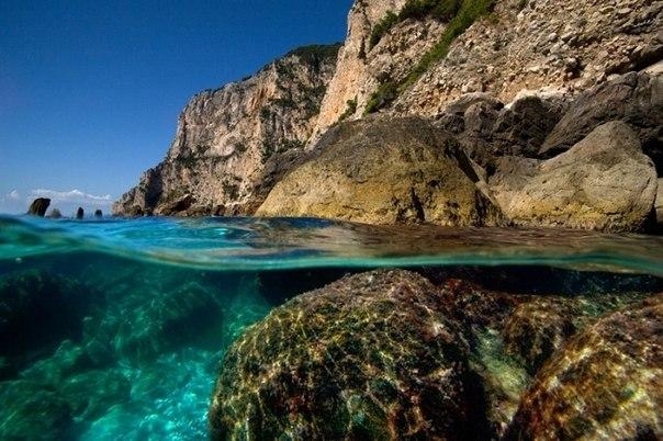 Фотографии на грани: надводный и подводный мир в одном снимке.