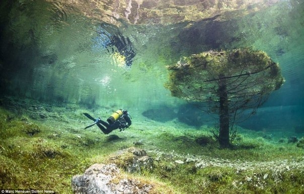 Подводный парк