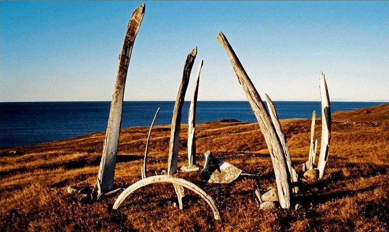 Китовая аллея: артефакт древнеэскимосской культуры (Россия)