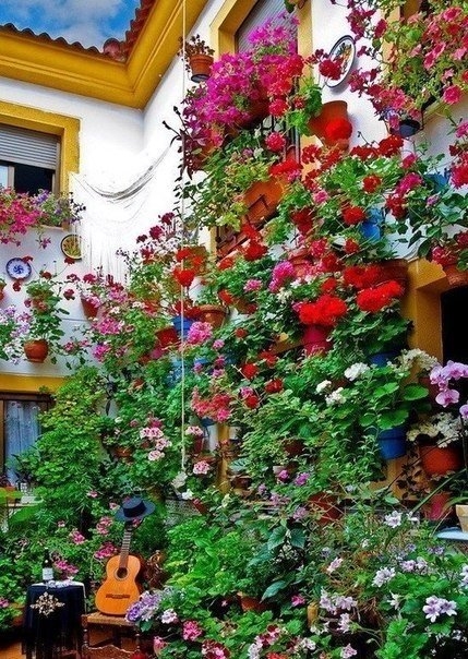 Цветочный фестиваль в Кордова, Испания.
