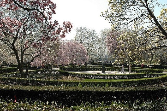 Бруклинский ботанический сад в Нью-Йорке, США