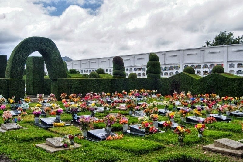 Кладбище-топиарий - самая необычная достопримечательность Эквадора