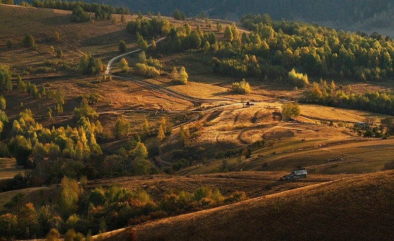 Осень в Западно-Румынских горах