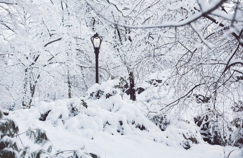 Зимний Центральный парк, Нью-Йорк