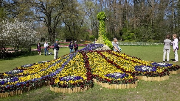 Цветочный фестиваль «Флоралии Брюсселя»