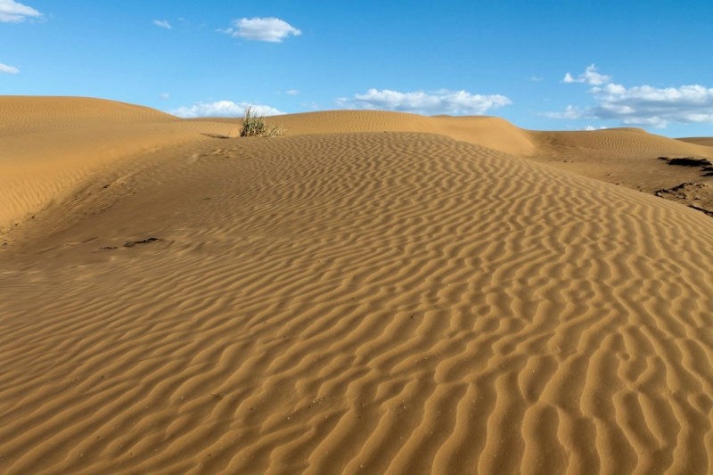 Песчаные дюны в Калмыкии.