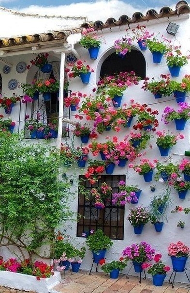 Цветочный фестиваль в Кордова, Испания.