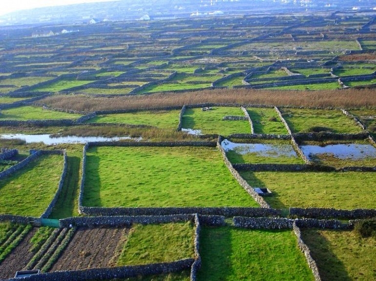 Каменные стены Ирландии