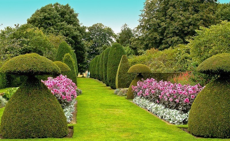 Топиарные сады - один из древнейших видов садового искусства