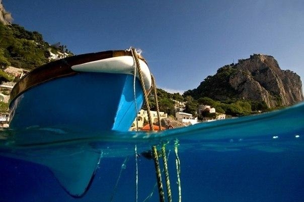 Фотографии на грани: надводный и подводный мир в одном снимке. Фотографии на грани: надводный и подводный мир в одном снимке.