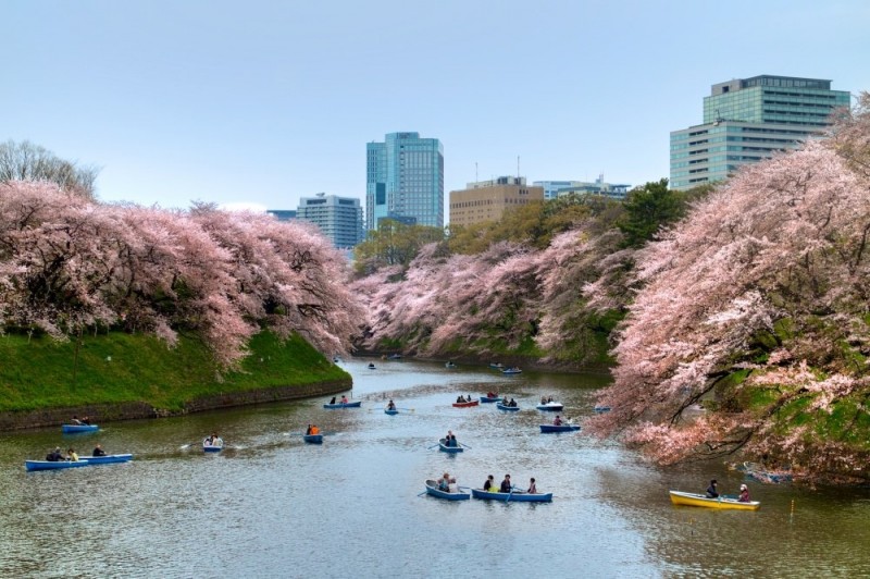 Прекрасная весна в Японии