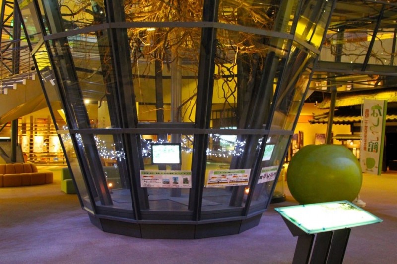 Японский Музей груш