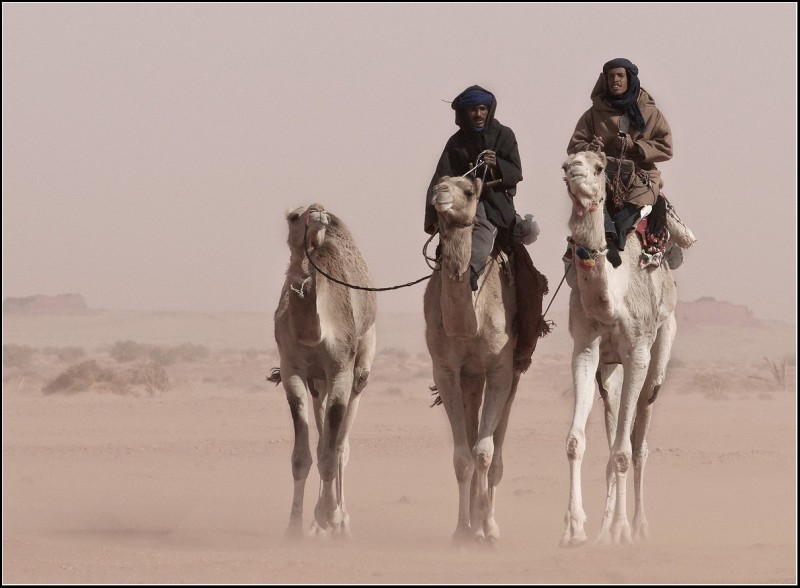 Как кочуют бедуины