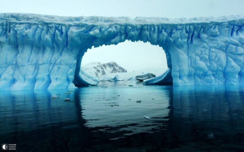 Удивительная Антарктида