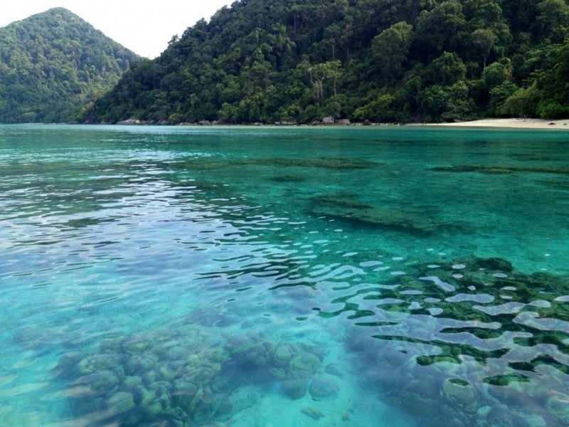Парк Му Ко Сурин: «морские» цыгане, прекрасная природа и невероятный подводный мир