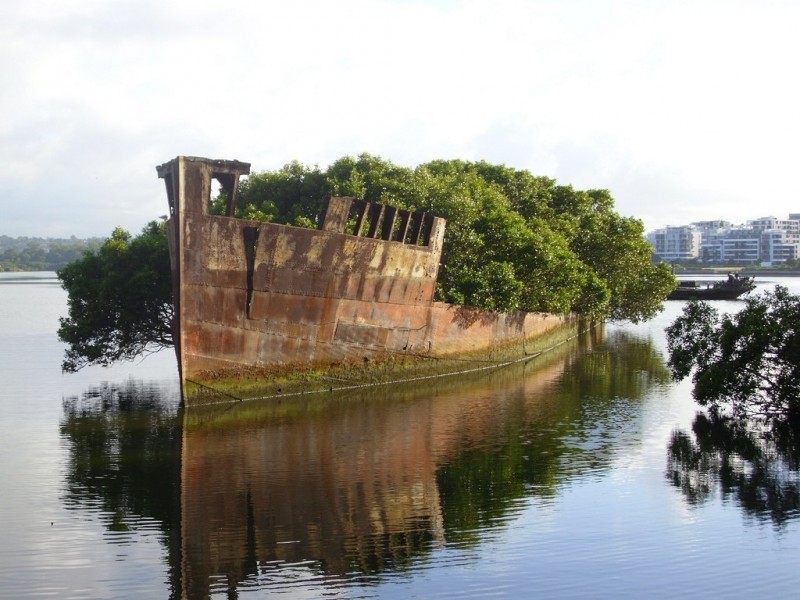 Заброшенное судно SS Ayrfield - плавающий мангровый лес