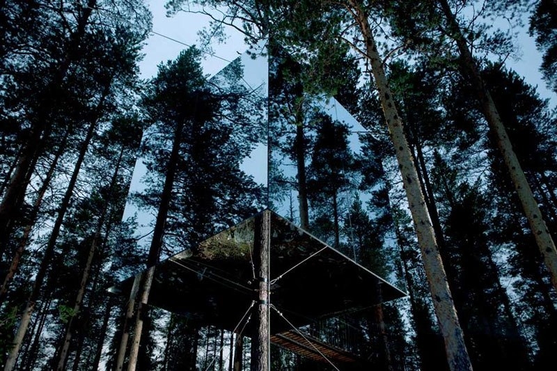 Treehotel в Швеции для любителей природы.