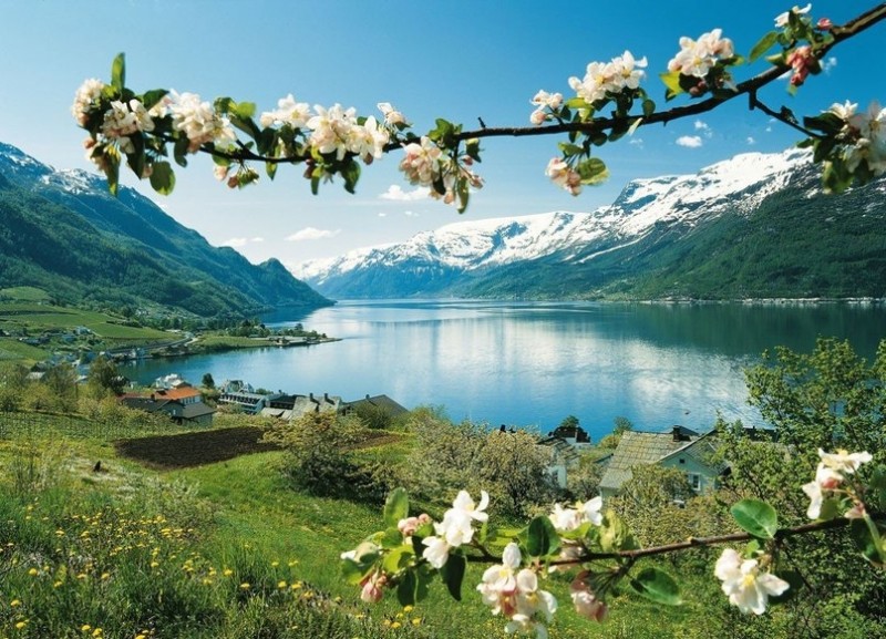 Самые красивые фьорды Норвегии...