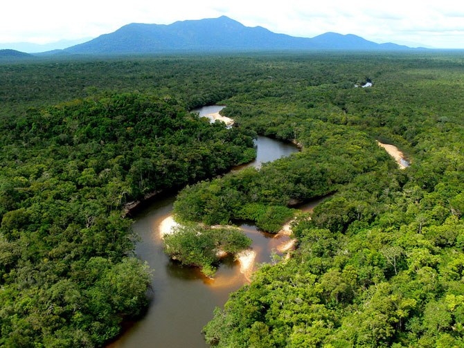 Амазонка и амазонские джунгли