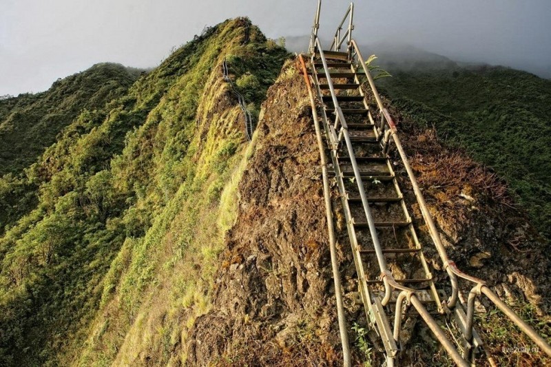 «Лестница в небо»: тропа для смелых