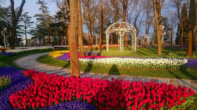 Буйство красок Фестиваля тюльпанов в Стамбуле