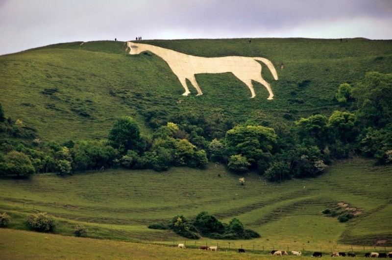 Белая лошадь: рисунок на холме, покрытый тайнами (Великобритания)