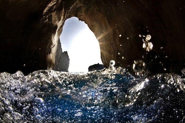 Фотографии на грани: надводный и подводный мир в одном снимке. Фотографии на грани: надводный и подводный мир в одном снимке.