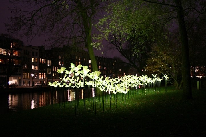 Интерактивная световая инсталляция в Амстердаме