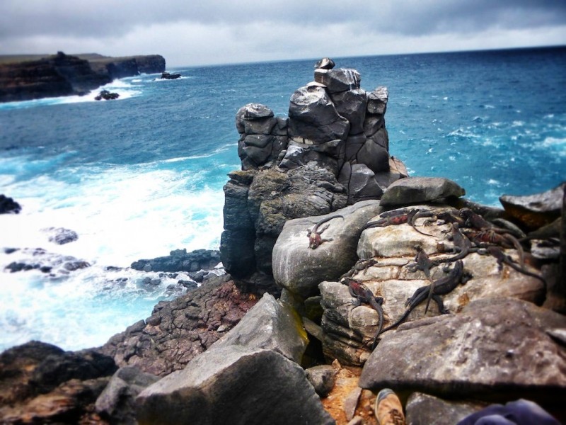 Красота Галапагосских островов