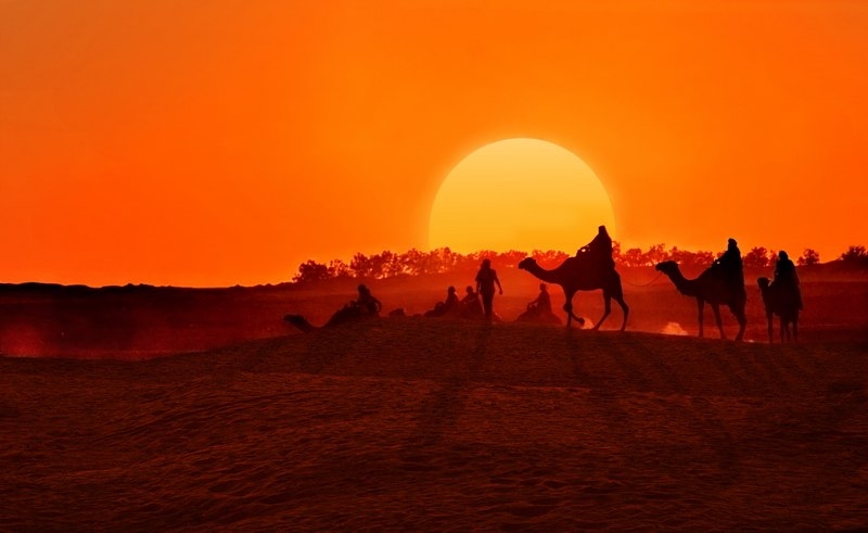 8 самых интересных фактов о пустыне Сахара.