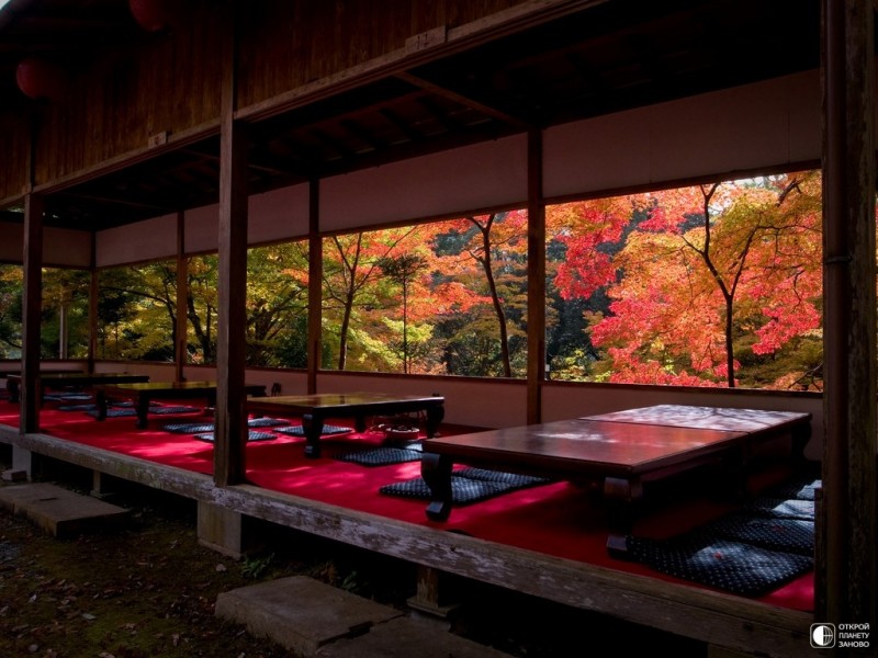 Осень в Киото
