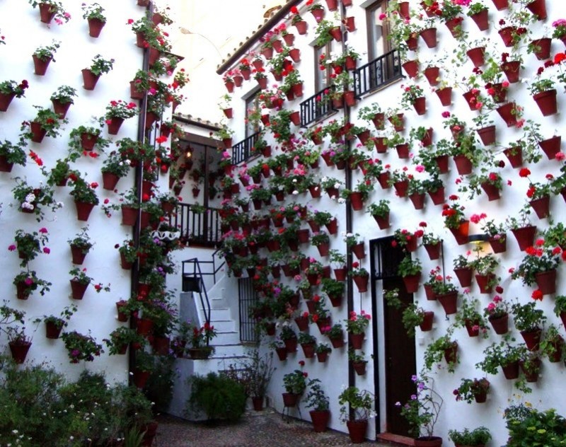 Прекрасный фестиваль цветов в патио (Кордова, Испания)