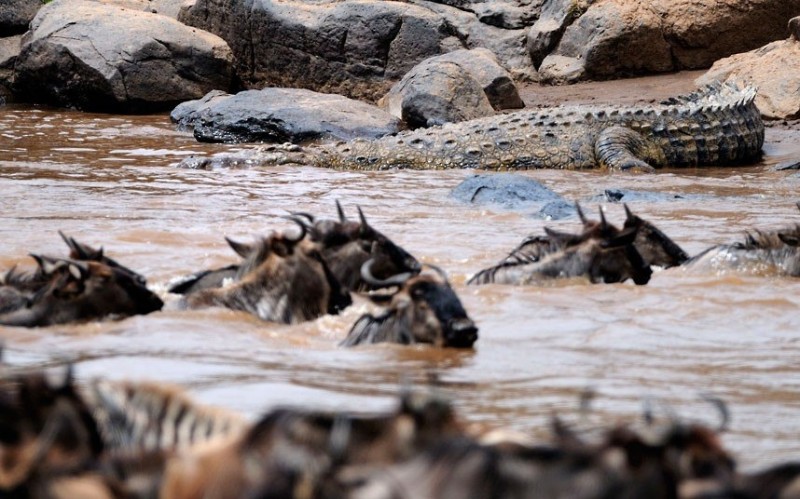 Опасная река Мара в объективе итальянского фотографа Паоло Торчио