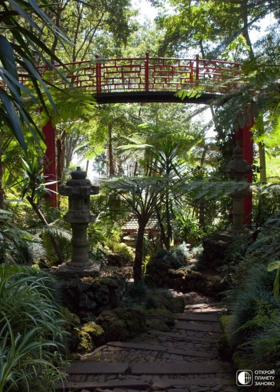 Тропический сад дворца Монте