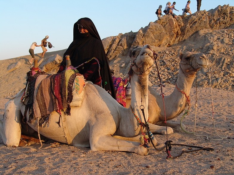 Как кочуют бедуины
 сиживать
