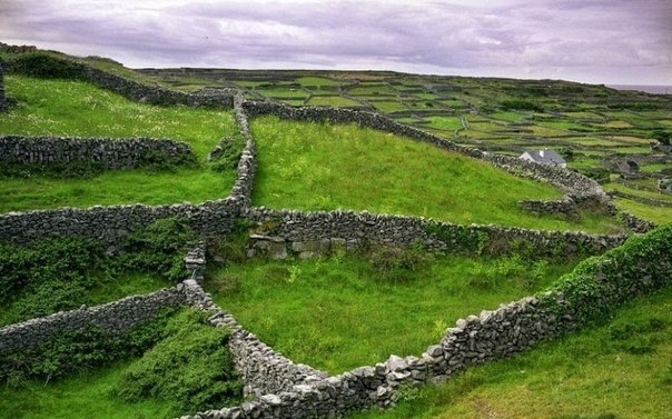 Каменные стены Ирландии.