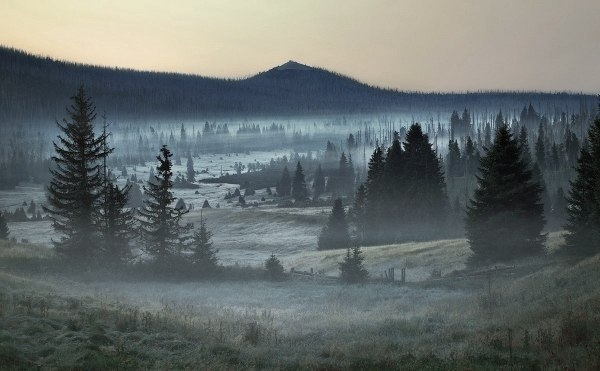 Серия фотографий «Родина братьев Гримм»