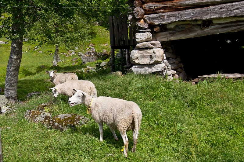 Долина Иннердален описывается путеводителями как самая красивая долина в Норвегии.