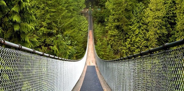 Подвесной мост в Канаде: прогулка над елями