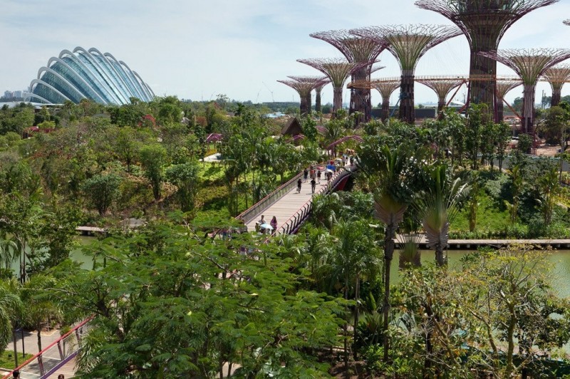Прибрежные сады Сингапура
