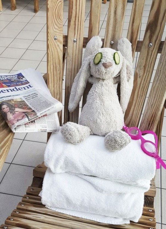 Девочка забыла плюшевого зайца в отеле, но нашла его благодаря фотографиям его приключений на Facebo