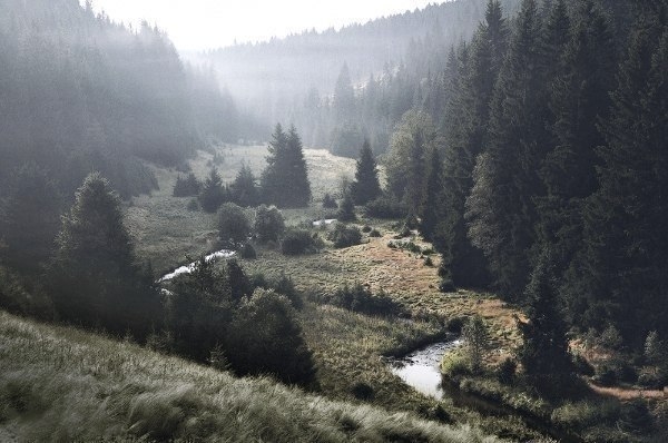 Серия фотографий «Родина братьев Гримм»