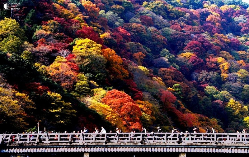 Осень в Киото