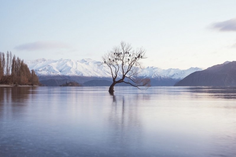 10 идеальных кадров из Новой Зеландии