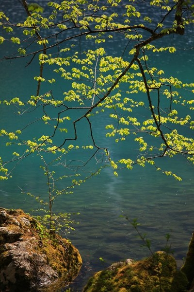 Озеро Оберзее, Германия