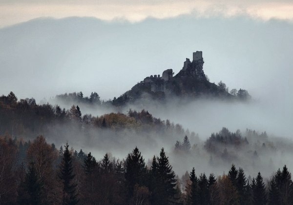 Серия фотографий «Родина братьев Гримм»