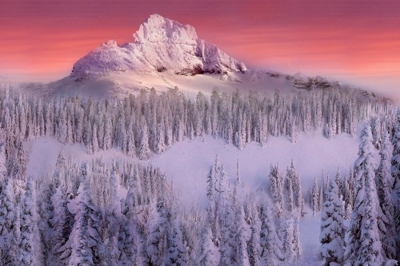 Идеальные фотографии северо-американской природы от Кевина МакНила